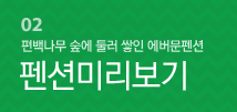 펜션미리보기