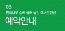 예약안내
